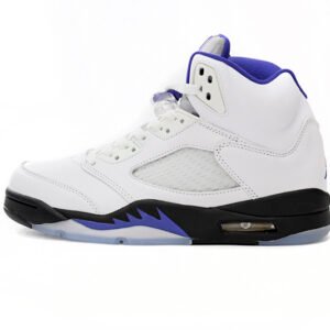 Air Jordan 5 “Concord” DD0587-141