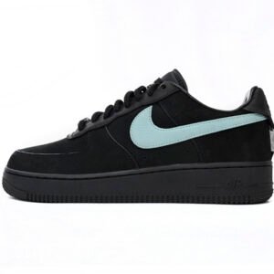 Nike Air Force 1 Low & Co. 1837 DZ1382-001