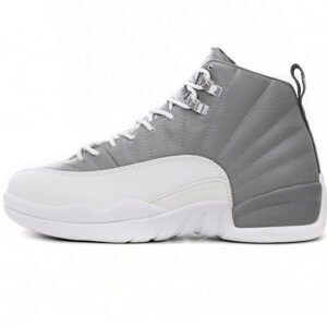 Air Jordan 12 Stealth CT8013-015
