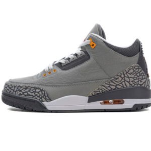 Air Jordan 3 Retro Cool Grey (2021) CT8532-012