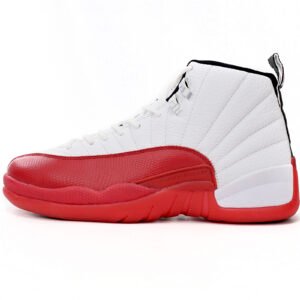 Air Jordan 12 Cherry CT8013-116