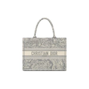 SMALL DIOR BOOK TOTE