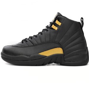Air Jordan 12 Black Taxi CT8013-071