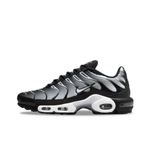 Nike Air Max Plus Black Silver White DM0032-003