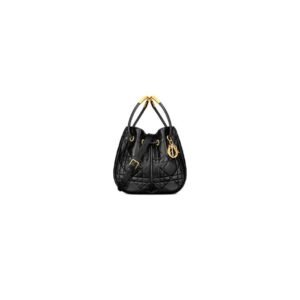 Medium Dior Nolita Bag