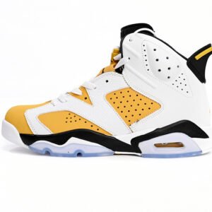 Air jordan6 “Yellow Ochre” CT8529-170