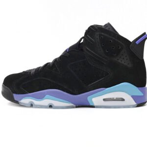 Air Jordan 6 GRAPE CT8529-004