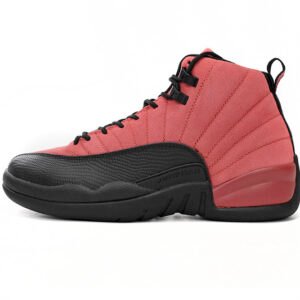 Air Jordan 12 Reverse Flu Game CT8013-602