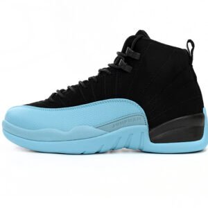Air Jordan 12 Black Orchid 1300690-027