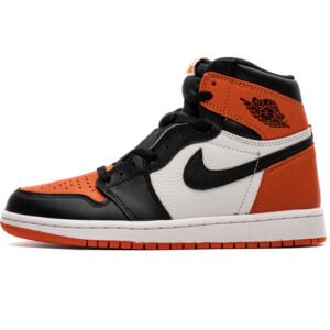 Air Jordan 1 Retro High Shattered Backboard 555088-005