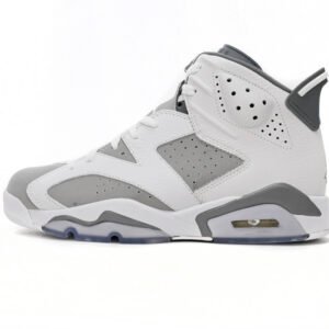 Air Jordan 6 Cool Grey CT8529-100
