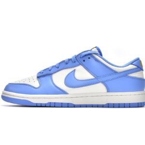 Nike Dunk Low Coast (W) DD1503-100