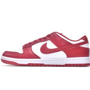 Nike Dunk Low USC DD1391-602